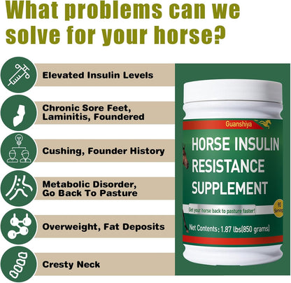 Insulin Resistance Supplement for Horses - Horse Laminitis Treatment-Natural Laminitis Herbal Powder for Sore Feet & Chronic Laminitis, 1.87lb (90-Day Supply)