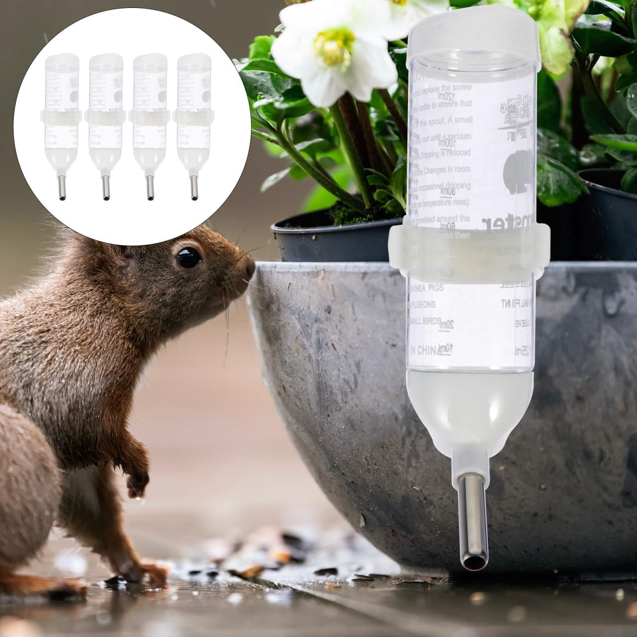 Totority Small Pet Water Bottles 4pcs 125ml Leakproof Roller Ball Drinkers for Hamsters and Puppies, Easy to Clean Nozzle, Secure Fixation, Ideal for Cages and Travel, Perfect for Small Pets