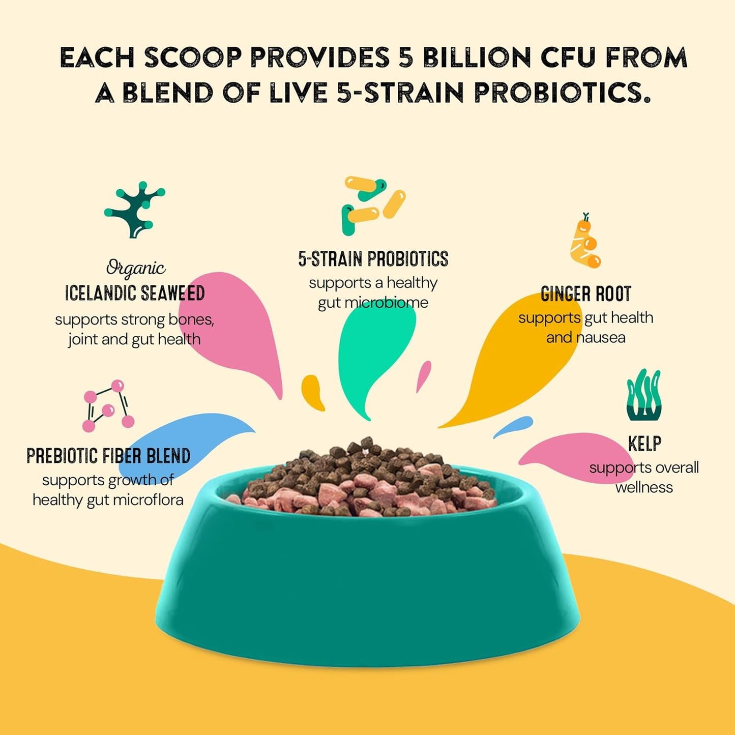 Dog Gut Health Probiotics Supplement | Improves Digestive Health and Immune System Support for Dogs and Puppies | All Natural Ingredients Tasty Kibble Dog Food Topper | 60 Count Pack