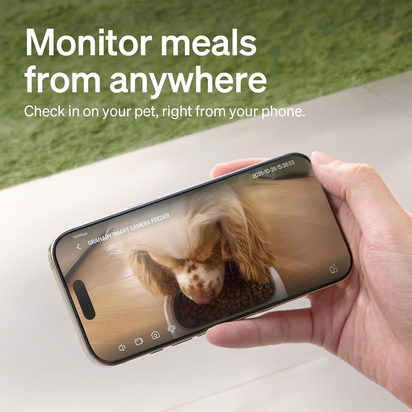 PETLIBRO Automatic Cat Feeder with Camera, 1080P HD Video with Night Vision, 5G WiFi Pet Feeder with 2-Way Audio, Low Food & Blockage Sensor, Motion & Sound Alerts for Cat & Dog Single Tray