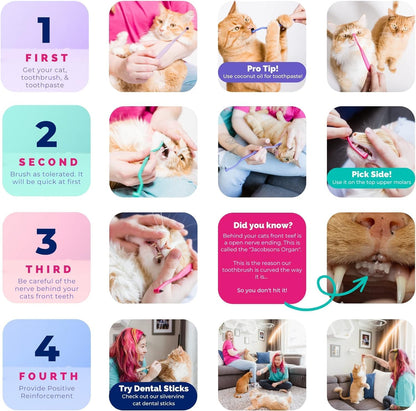 RYERCAT Set of 2 Dual Sided Cat Toothbrush - Kitten Toothbrush with Micro Head to fit into Cat/Kittens Mouth - Cat Dental Care Supplies - Pet Toothbrush for Cats(Amethyst Purple & Ocean Blue)