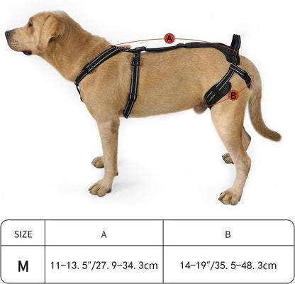 COODEO Professional Dog Sling for Hind Leg Support - Aid for Post-ACL/TPLO Surgery & Senior Dogs, Secure,Breathable & Machine-Washable with Reflective Edging for Safe Walks (Black, M)