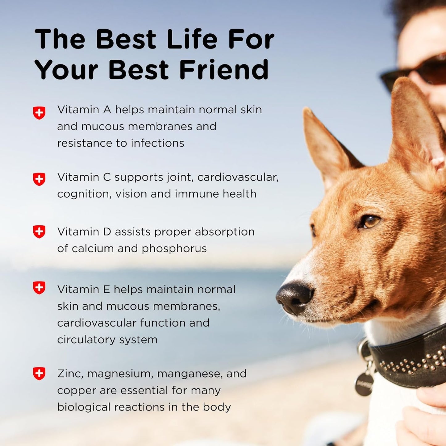 Nutri-Vet Adult-Vite Plus Dog Multivitamin Soft Chews, Daily Dog Supplement with Vitamins Minerals and Antioxidants, Supports Skin, Immune, Joint, and Gut Health, Tasty Chicken Flavor, 70 Count