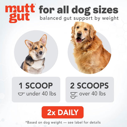 All-Natural 3-in-1 Dog Probiotic, Prebiotic, and Postbiotic Supplement Powder - Probiotics for Dogs with 135 Billion CFUs, Anti Diarrhea, Digestive Enzymes & Antioxidants (60g)