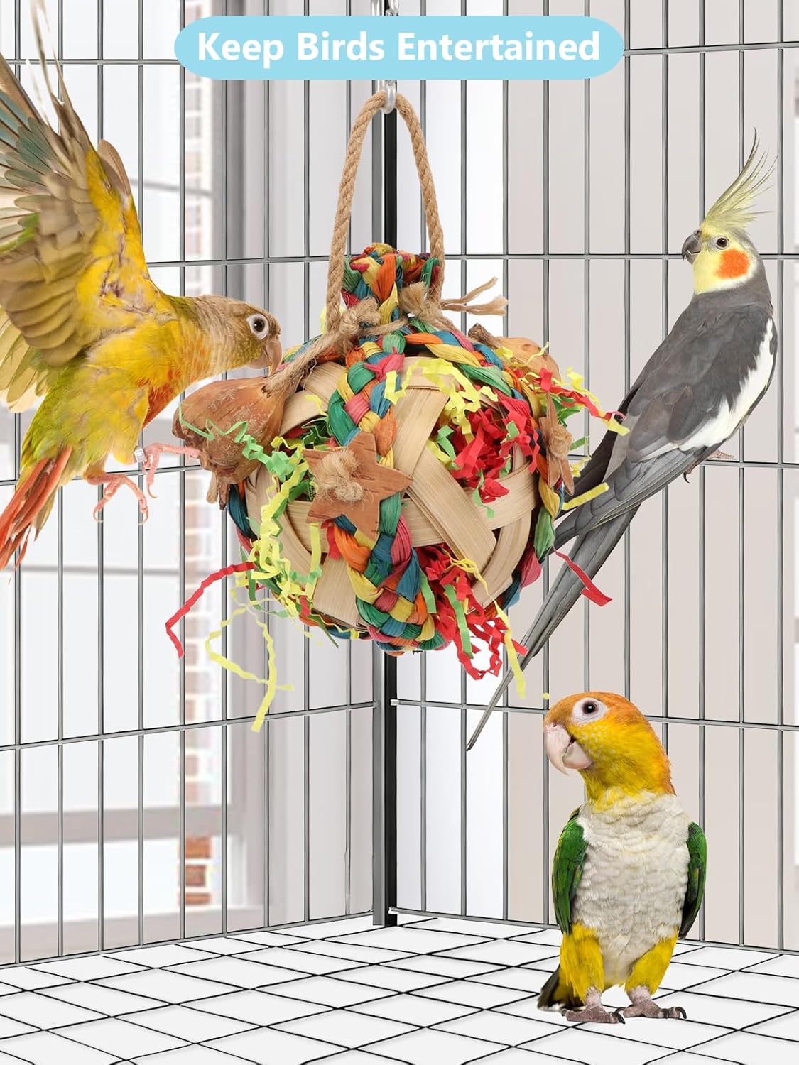 Wontee Bird Toys Colorful Shredding Crinkles Foraging Toys Natural Dried Fruits Chew for Cockatiels Conures Parakeets Budgies Senegal (1 Pack)