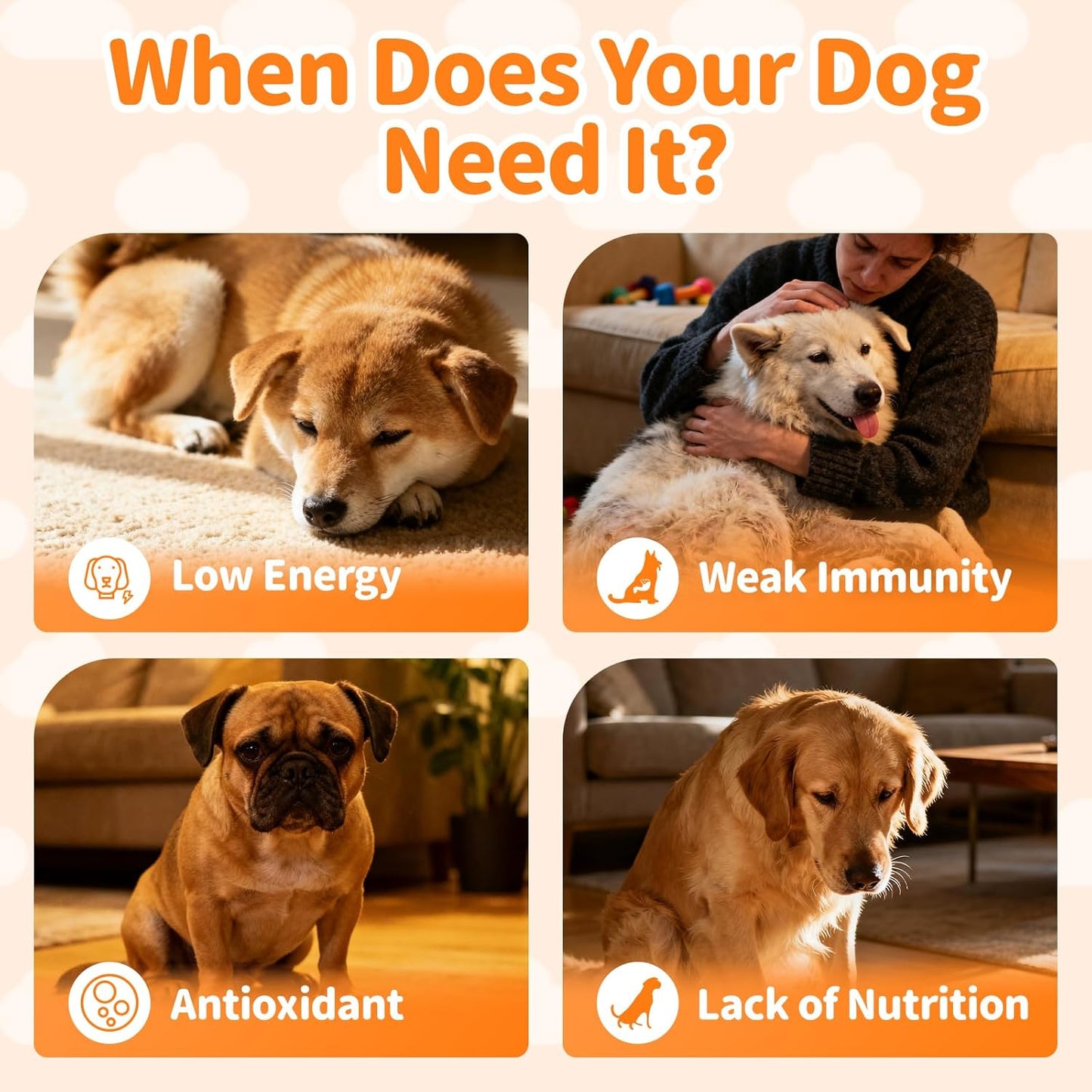 Dog Vitamins and Supplements for Daily Energy, Immune, Antioxidants, Gut, Joint, Skin, Coat, Multivitamin Powder for Dogs with L-Carnitine, Taurine, Probiotics - Chicken Flavor, 75 Scoops