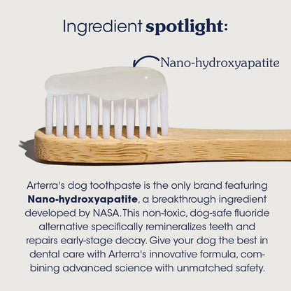 Remineralizing Dog Toothpaste – Vet-Grade, with Nano-Hydroxyapatite, Reverses Early-Stage Decay, Cleans Teeth, Reduces Tartar, Freshens Breath by Arterra Pet Science, Plant-Based, Natural Flavor, 3oz