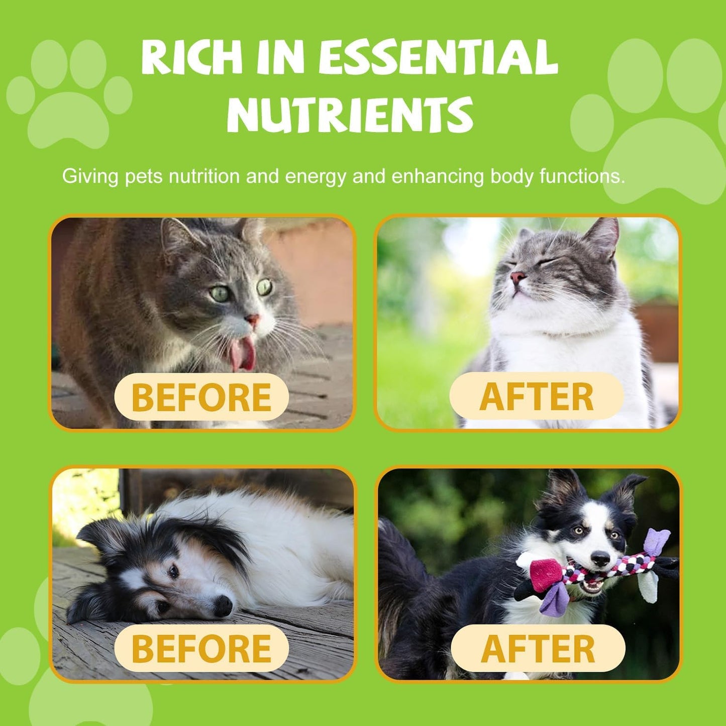 Dog Multivitamin, Dog Multivitamin Liquid Drops Supplements, Dog Vitamins for Support Skin & Coat, Heart Health, Bones, Joint, Immune System Support, 60ml