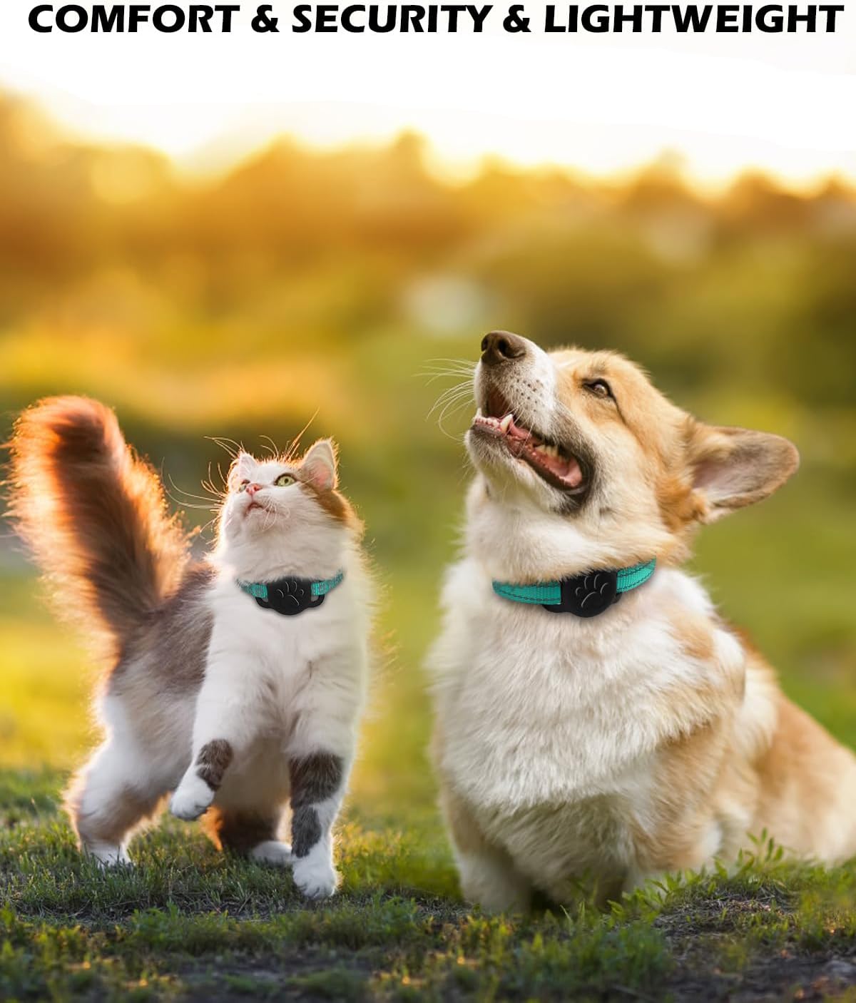 Dynmeow Dog Cat Collar Holder Compatible with Airtag, Anti-Lost Silcione Holder for 3/8 and 5/8 Inch Wide Collars, Black, S(1 Pack)