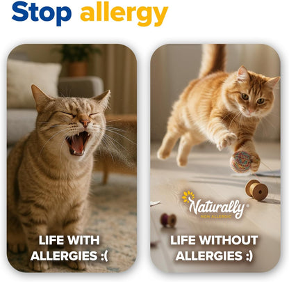 Cat Litter, Quick Clumping, 11 lb, 100% Natural Sunflower Hulls, Sunflower Scent (Pack of 1)