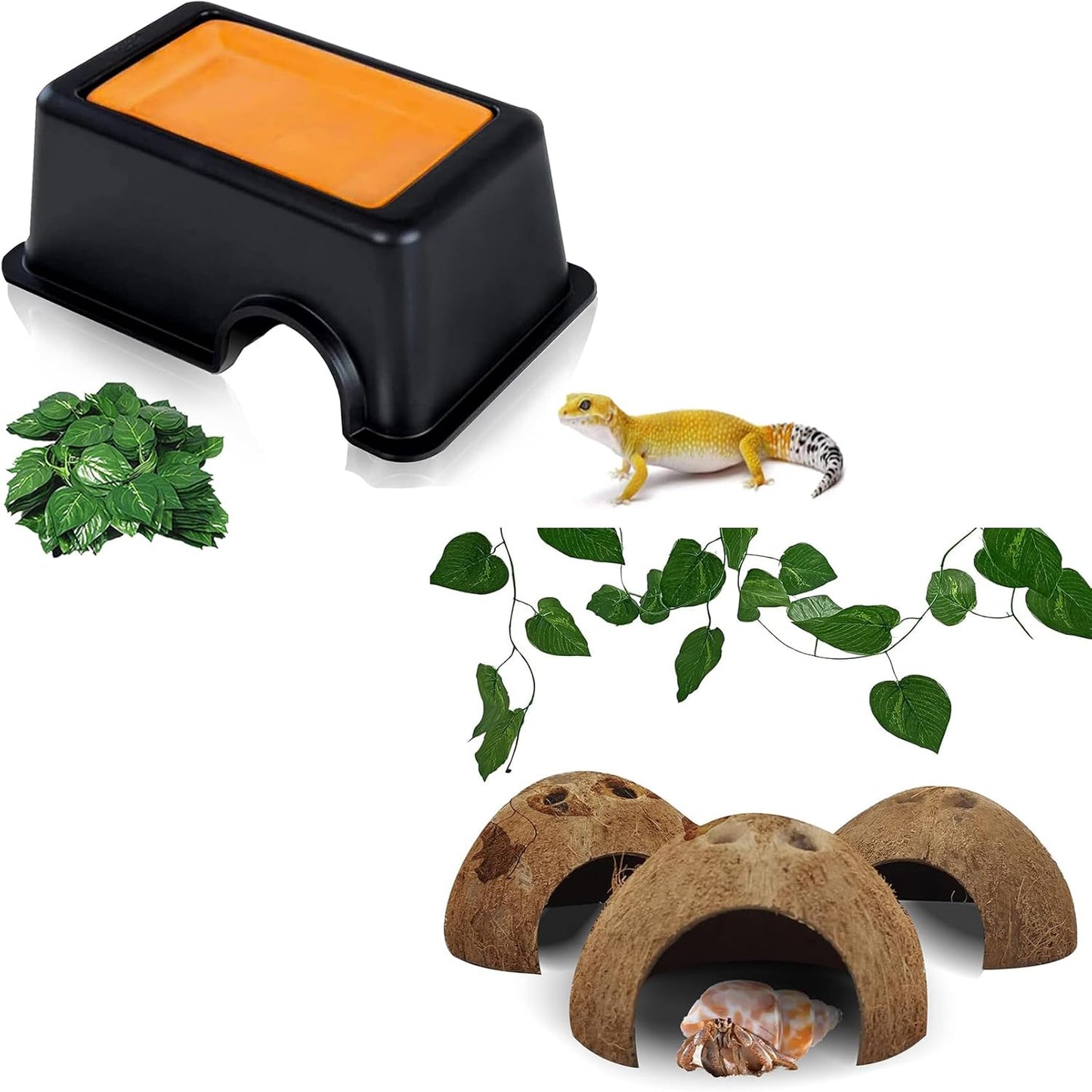Hamiledyi Reptile Hide Box Gecko Hideout Cave with Sink Humidifier and 4 Pcs Reptile Hideouts Natural Coconut Shells Hut Hermit Crab Climbing Toys for Spider Snake Chameleon