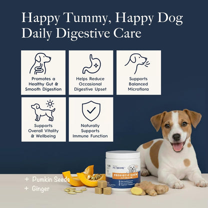 Oraticx PetBiome Probiotic Chew for Dogs - Supports Daily Digestive Health, Gut Balance, and Immune System - with Ginger Root, and Pumpkin Seed - Chicken Flavor, 90 Soft Chews