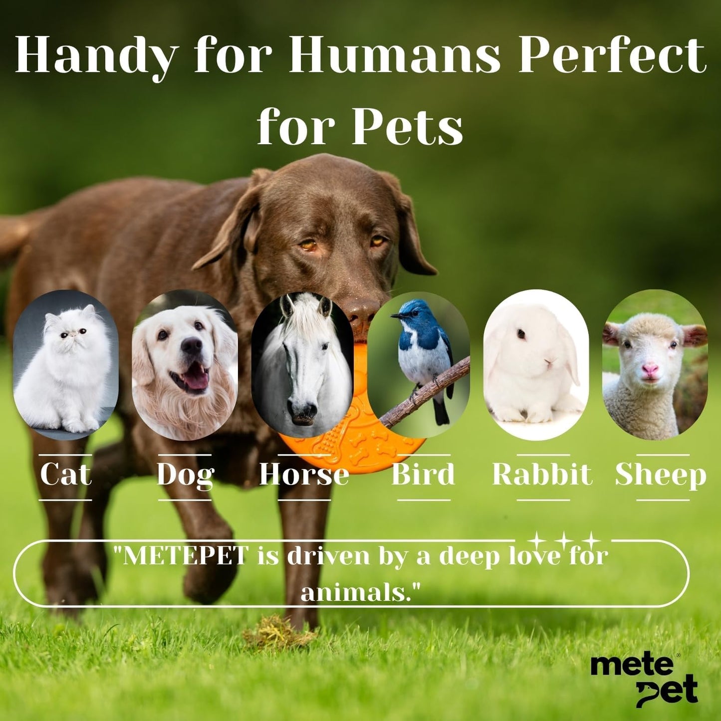 Vetromycin Pet Eye Cream Health for Dogs, Cats, Cattle, Sheep, Horse, Bird 1/8 oz /5gr, 1 Tube