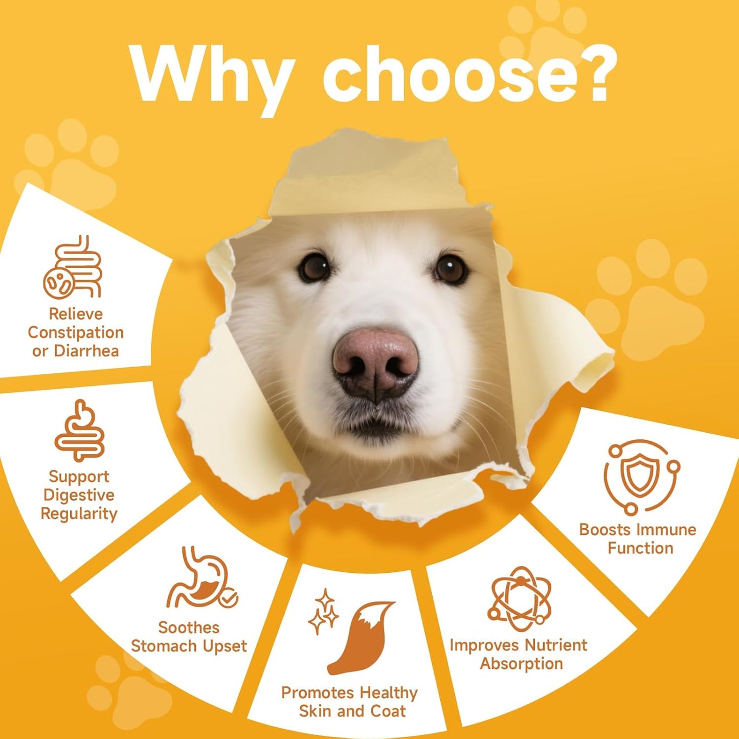 Pumpkin for Dogs - Pumpkin Powder for Dogs 8.11OZ, Digestion, Gut Health, Constipation Diarrhea Relief - Probiotics, Cranberry, Blueberry, Enzymes, Fiber Supplement Dog, to Make Pumpkins Puree for Dog