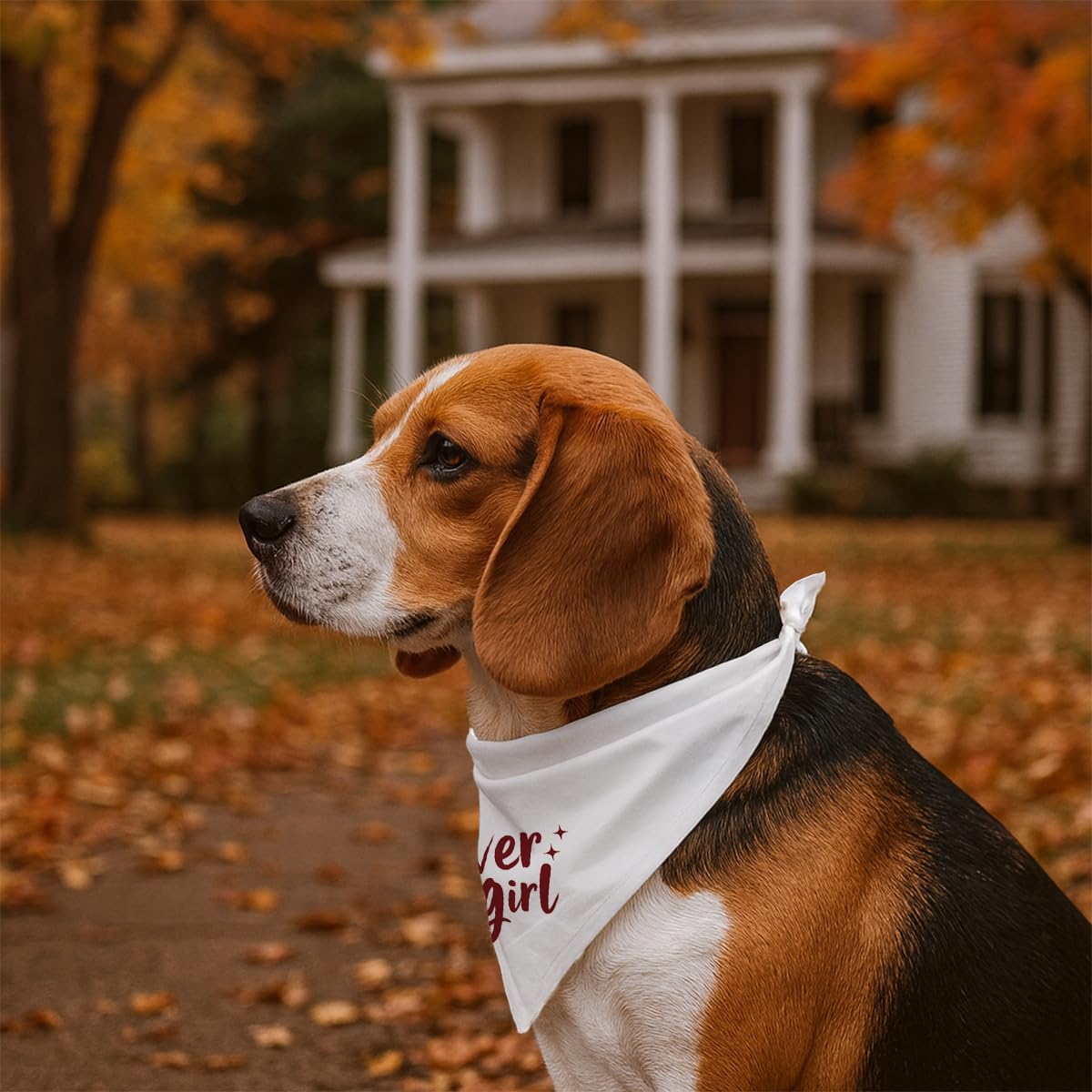 Valentine's Day Dog Bandana, Lover Girl Pet Bandana, Valentine's Day Pet Photoshoot Accessories, Adjustable Triangle Dog Scarf for Small Medium Dogs