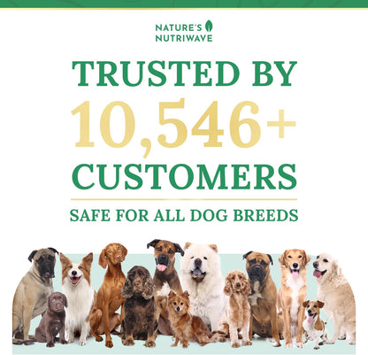 Pawbiotix Liquid probiotics for Dogs - Dog probiotics for Digestive Health | 100% Natural Dog Gut Health probiotics | probiotics for Dogs | Original Formula, Beacon Flavor, 1oz, 1 Month Supply