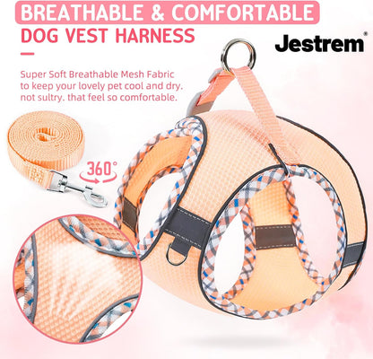 Cat Harness and Leash Set - Breathable Mesh Vest with Reflective Strips, Escape-Proof Harness with No-Choke Design Secure Lock Buckles for Kittens or Puppies, XXS Pink(Fits 1-4 lbs Kittens)