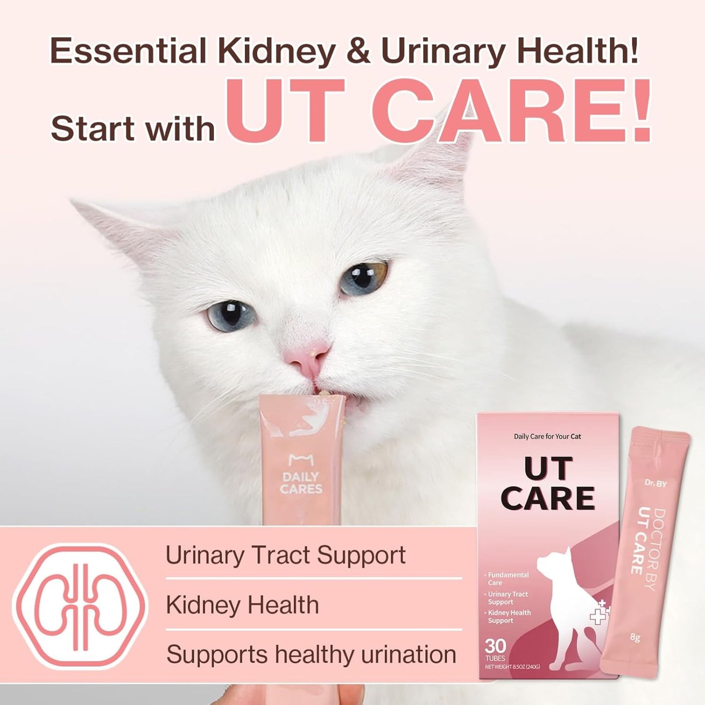 Doctor By UT Care Cat UTI Kidney Support Urinary Supplement Cranberry Treatment for Cats Renal Health with Pacran, Quercetin, Taurine lickable Formula Individually Packaged (1 Pack)
