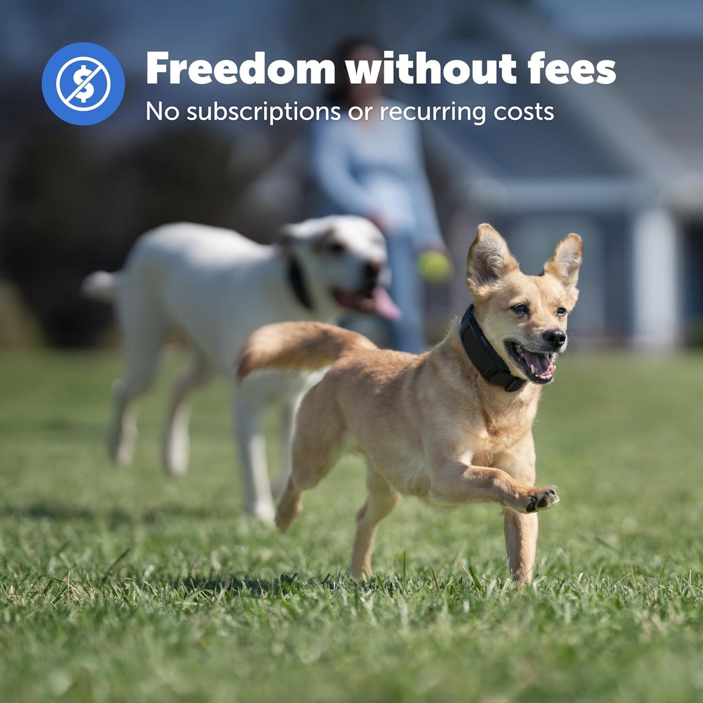 PetSafe Guardian GPS Dog Fence - Advanced AccuGuard Technology - Wireless Virtual Fence - No Subscription Required - Waterproof Collar with Long Lasting Battery - Easy to Set Up