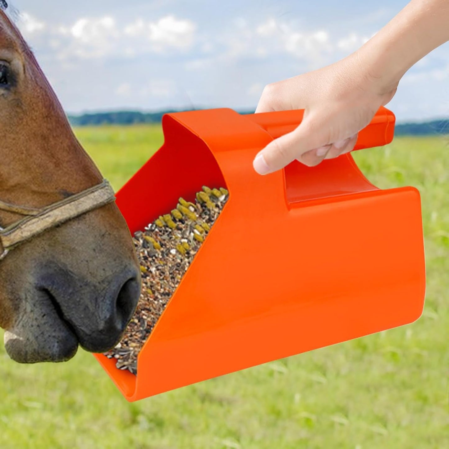 Feed Scoop – Heavy-Duty Livestock Scop, Large Scoop | Farm Grain Shovel, Food Holder, Stackable Feeding Tool, Animal Care Accessory, Strong Daily Supply for Horses, Goats, Sheep, Poultry Feed