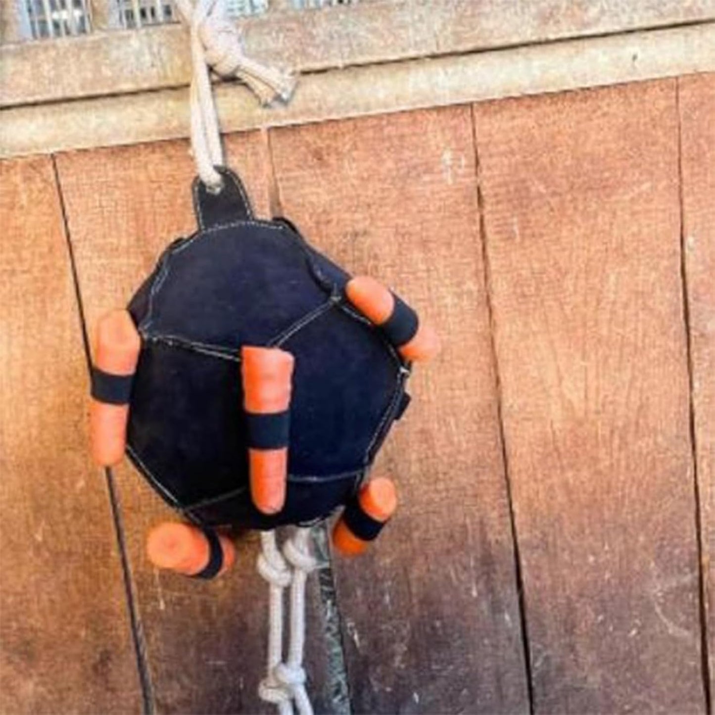 Horse Carrot Feeding Ball Toy, Horse Training Ball Toy, Slow Feed Carrot Feeder, Hanging Carrots Feeding Toys for Training Farm Goat Stable Field Boredom