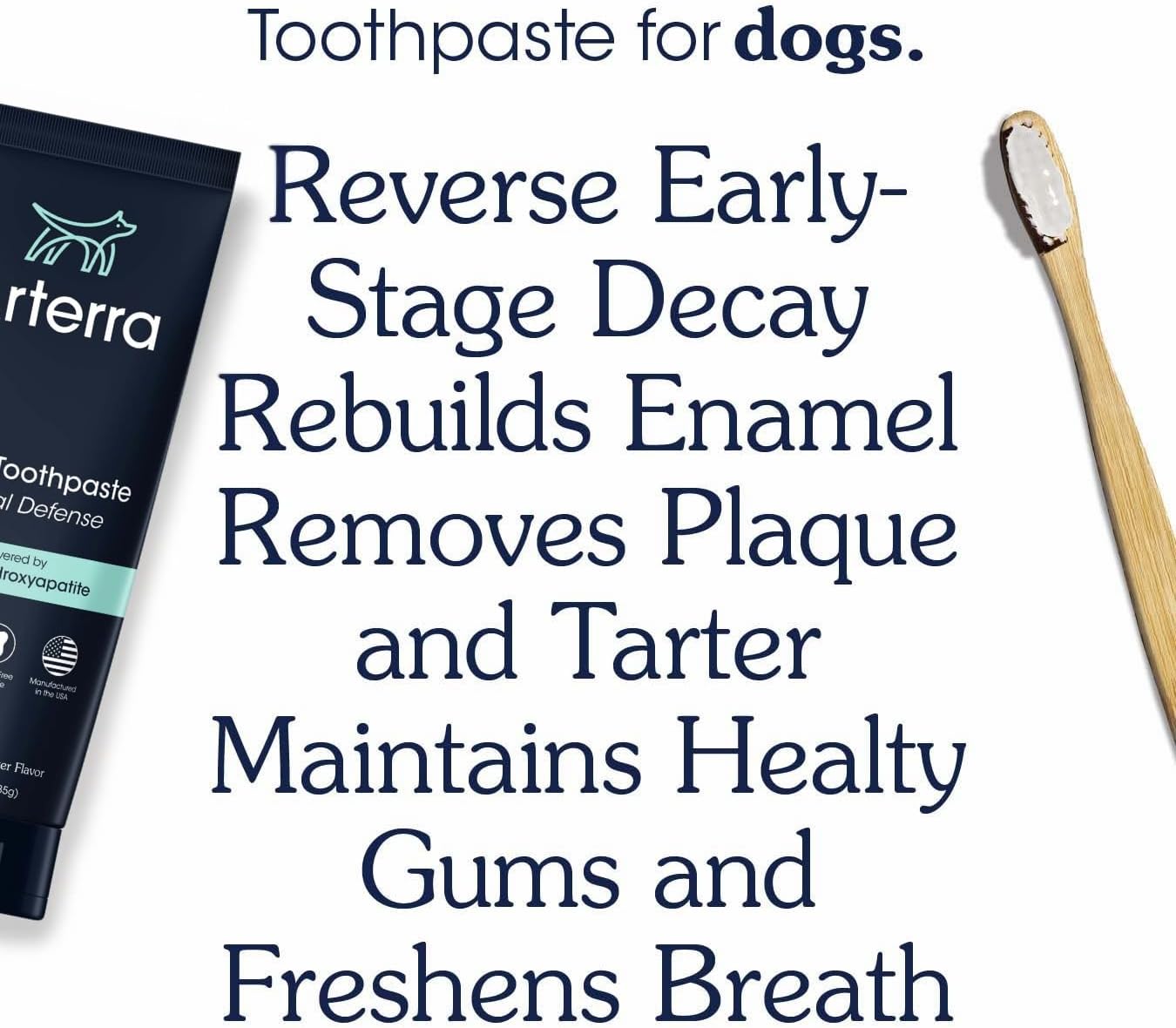 Remineralizing Dog Toothpaste – Vet-Grade, with Nano-Hydroxyapatite, Reverses Early-Stage Decay, Cleans Teeth, Reduces Tartar, Freshens Breath by Arterra Pet Science, Plant-Based, Natural Flavor, 3oz