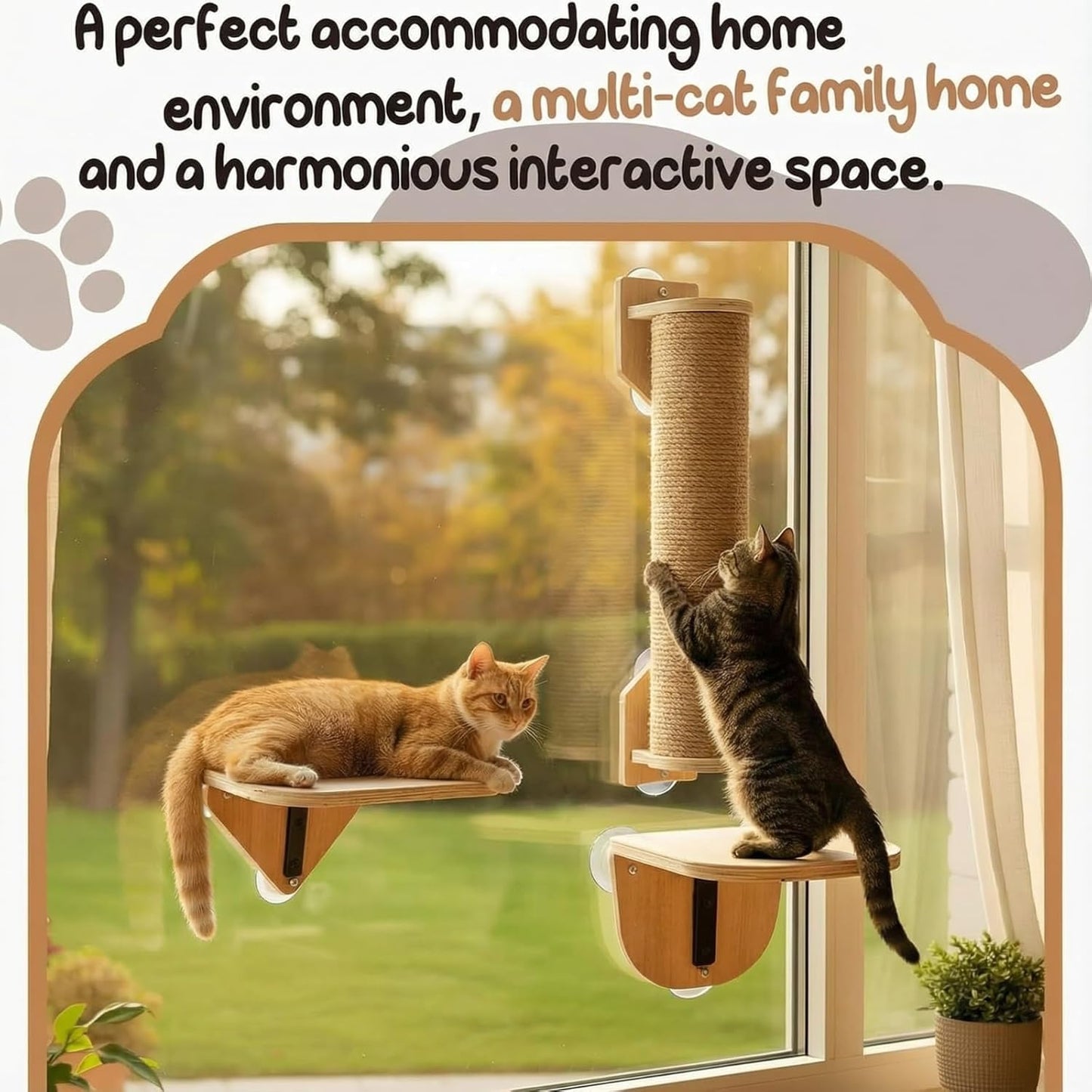 Novabright 3-in-1 20-inch Cat Window Perch Hammock with Climbing Step and Scratching Post, Raw Wooden Window Mounted Cat Bed, Supports 22lbs (Drilling-Free)