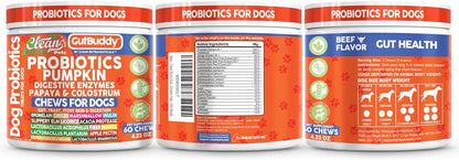 Gut Health Probiotics for Dogs + Pumpkin Colostrum Digestive Enzymes Ginger Slippery Elm Licorice Inulin Fiber Soft Chews Dog Probiotic Beef Flavor Digestion Supplement Treat Bites Large & Small Pets