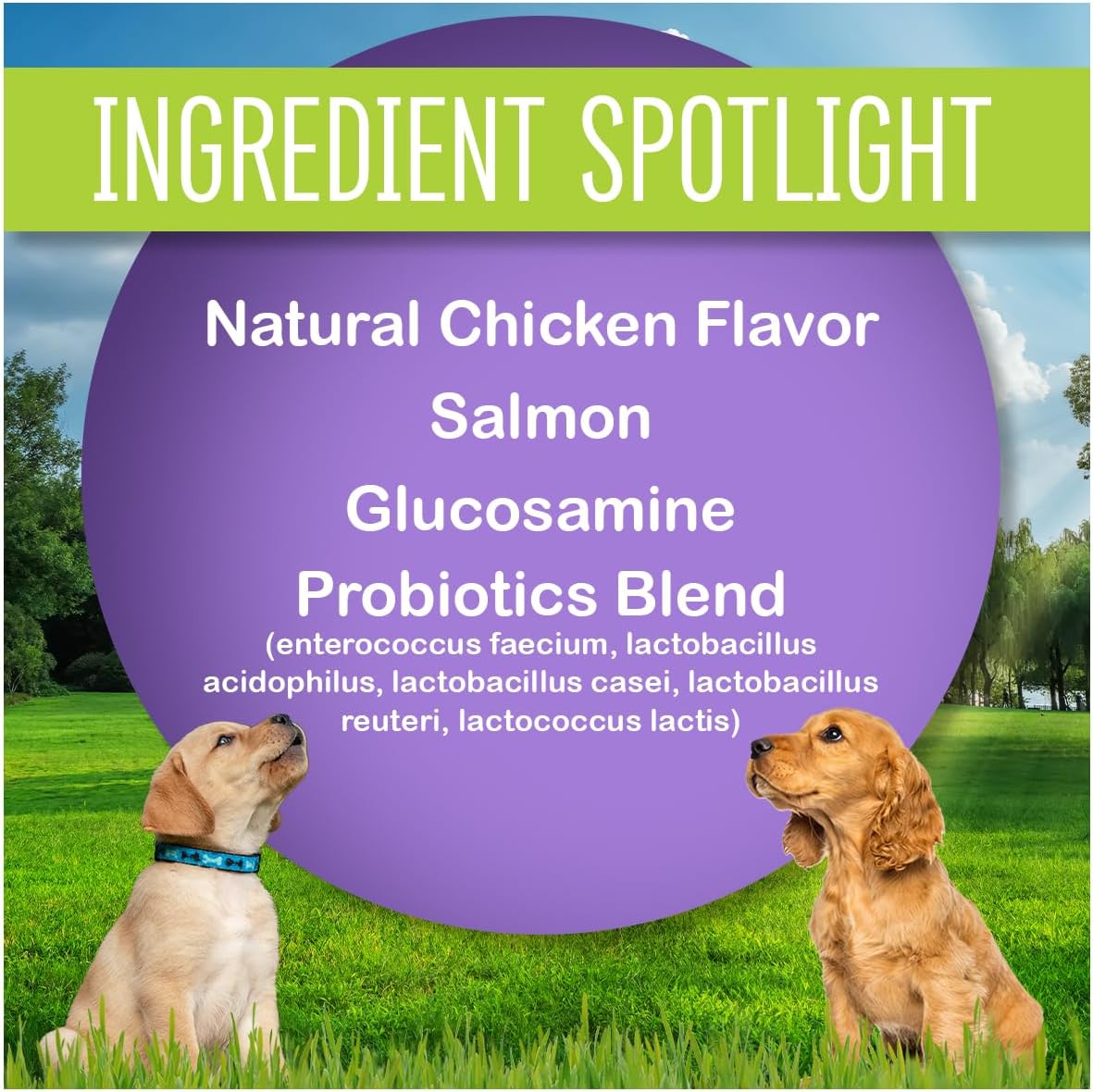 Dog Multi Vitamins, Made in USA with Human Grade Ingredients, Probiotic Supplement, All-in-One to Support Joints, Digestion, Immunity, Heart Health, Skin & Coat, 60 Chews (1 Pack)