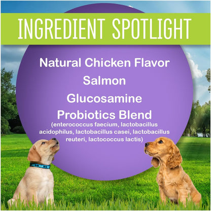 Dog Multi Vitamins, Made in USA with Human Grade Ingredients, Probiotic Supplement, All-in-One to Support Joints, Digestion, Immunity, Heart Health, Skin & Coat, 60 Chews (1 Pack)