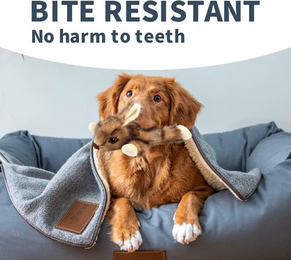 ALL FOR PAWS Classic Squirrel Pet Toys, Small and Orel Rabbit Squeaky Doy Toy Bundle