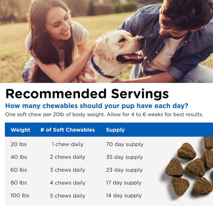 Nutri-Vet Adult-Vite Plus Dog Multivitamin Soft Chews, Daily Dog Supplement with Vitamins Minerals and Antioxidants, Supports Skin, Immune, Joint, and Gut Health, Tasty Chicken Flavor, 70 Count