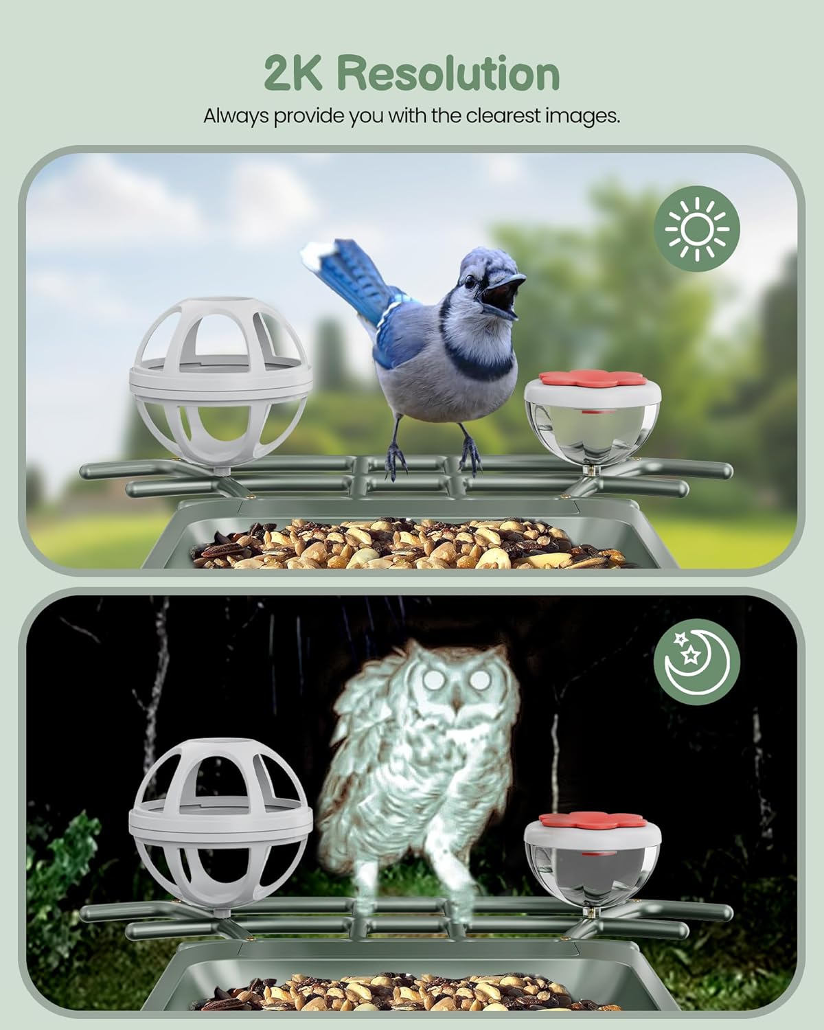 Smart Bird Feeder with Camera Outdoor: Solar Birdfeeder Cam for Outside Garden - 2K HD Live Video Camera AI Recognition Visible Window Auto Capture - Bird Lover Gifts