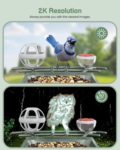 Smart Bird Feeder with Camera Outdoor: Solar Birdfeeder Cam for Outside Garden - 2K HD Live Video Camera AI Recognition Visible Window Auto Capture - Bird Lover Gifts