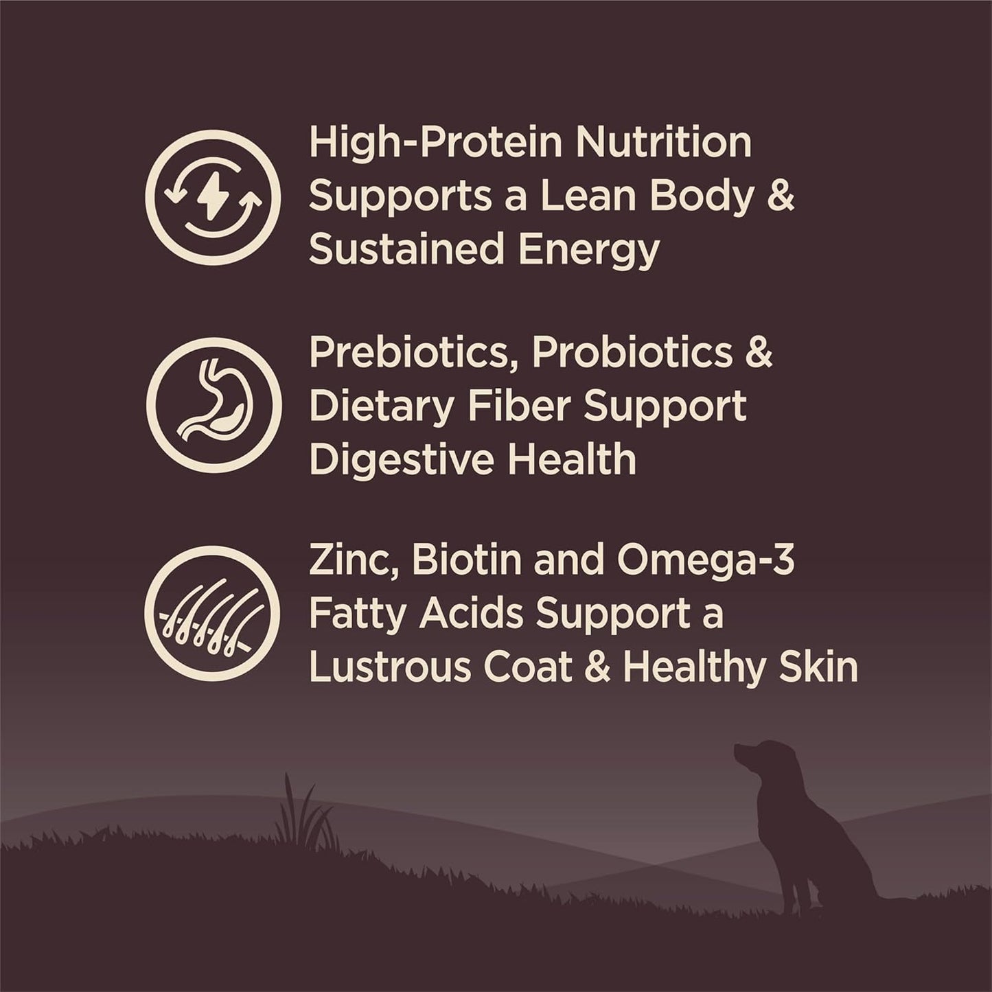 Wellness CORE Dry Dog Food, Small Breed, Grain-Free, High Protein, Natural, Original Turkey & Chicken Recipe, (12-Pound Bag)