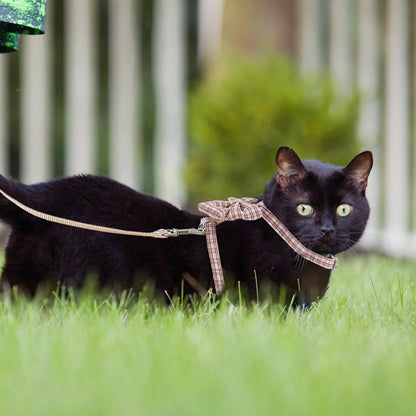 ERINGOGO Adjustable Cat Harness and Leash Set, Anti-Escape Pet Traction Strap with H-Style Vest, Small Size 1.0M Pink for 3-7 Lb Cats Outdoor Walking