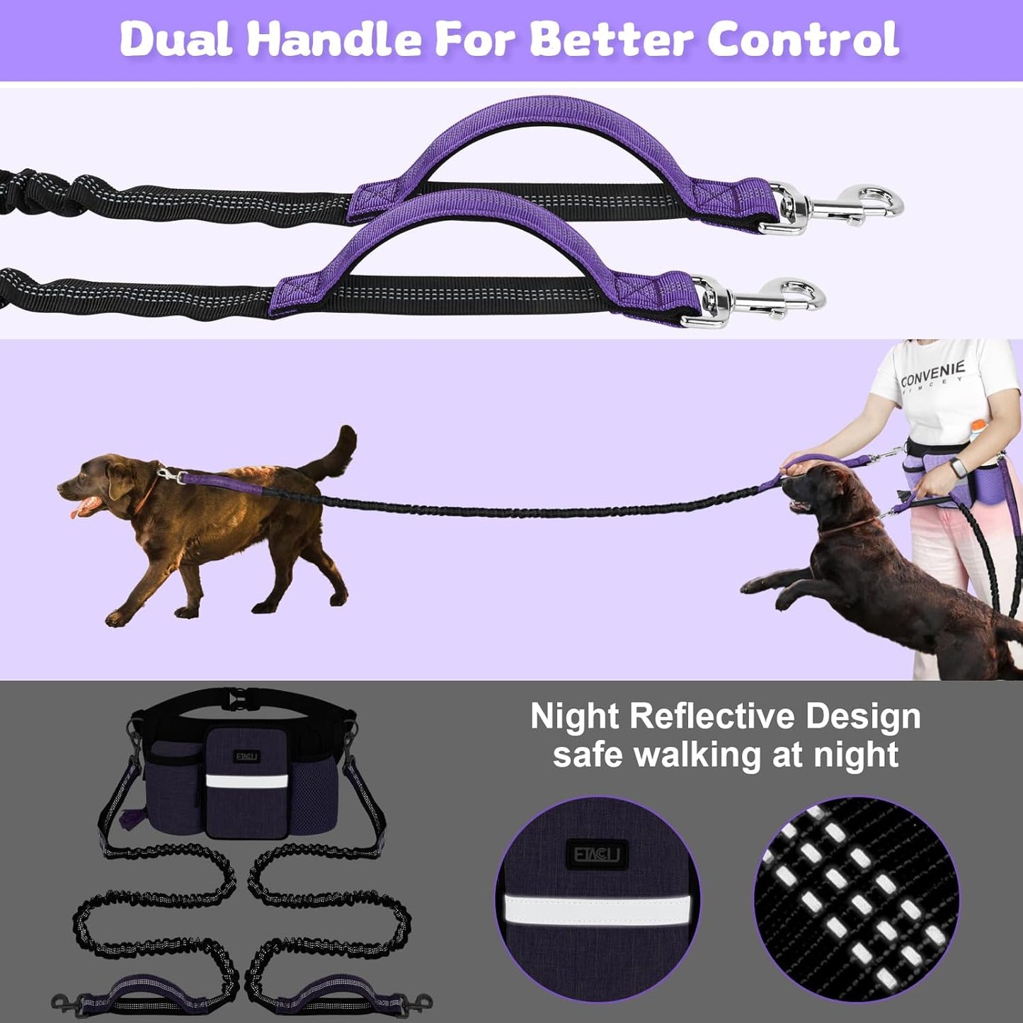 ETACCU Premium Hands Free Dog Leash for 2 Dogs, Adjustable Waist Belt Leash for Dog Walking, Purple (1 Dog Purple)