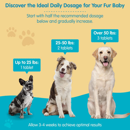 Milk Thistle + Multivitamin for Dogs Bundle