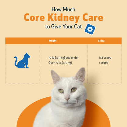 Pet Wellbeing Core Kidney Care for Cats - Daily Phosphate Binder, Supports Healthy Kidney Function with FOS, Chitosan, Probiotics - Veterinarian-Formulated 5.08 oz (144 g) Powder