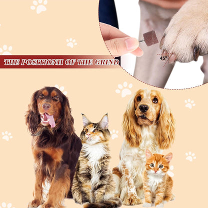 62Pcs Pet Nail Grinder Replacement Kit with Grit Sanding Bands, Dog Grinding Drums Nail Smoother Sanding Drum Set for Dogs Claw Care Grooming Supplies (80#/120#)
