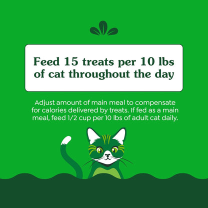 Greenies Feline Smartbites Skin & Fur Health Crunchy and Soft Cat Treats, Salmon Flavor, 16 oz. Tub