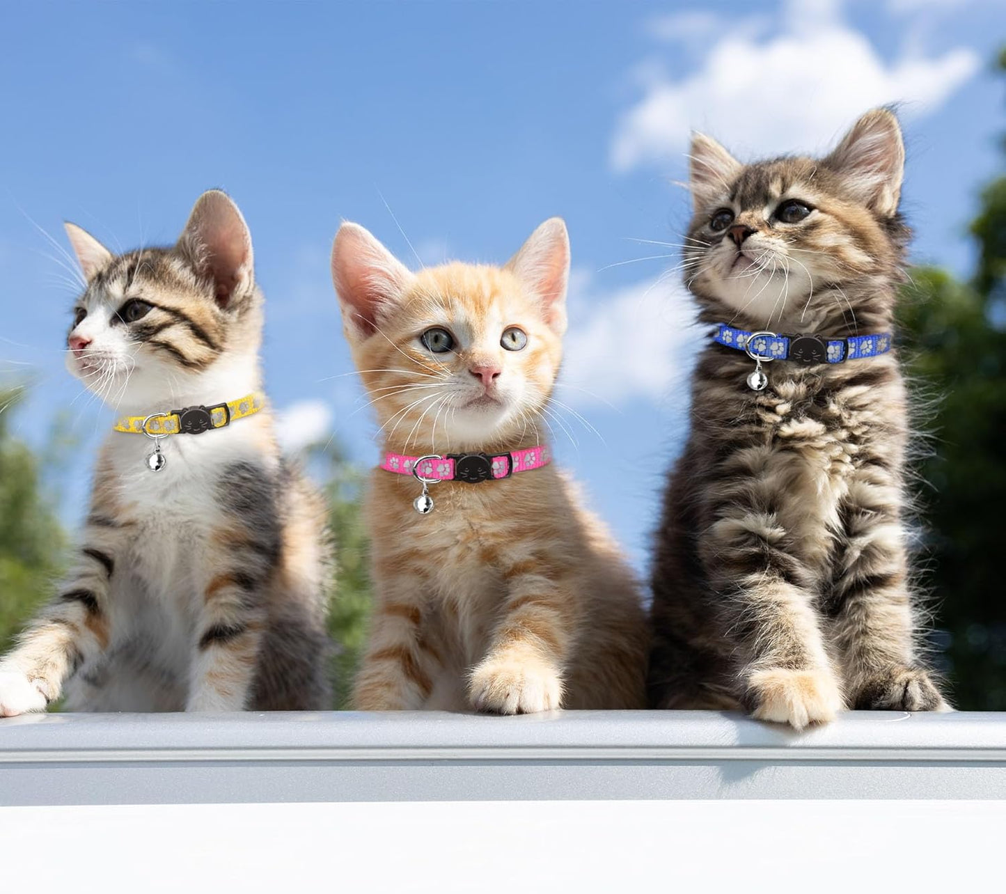 16 PCS Breakaway Cat Collars with Bells Reflective Cat Collar Safety Nylon Kitten Collars Cat Collars for Girl Boy Cats(6"-9")