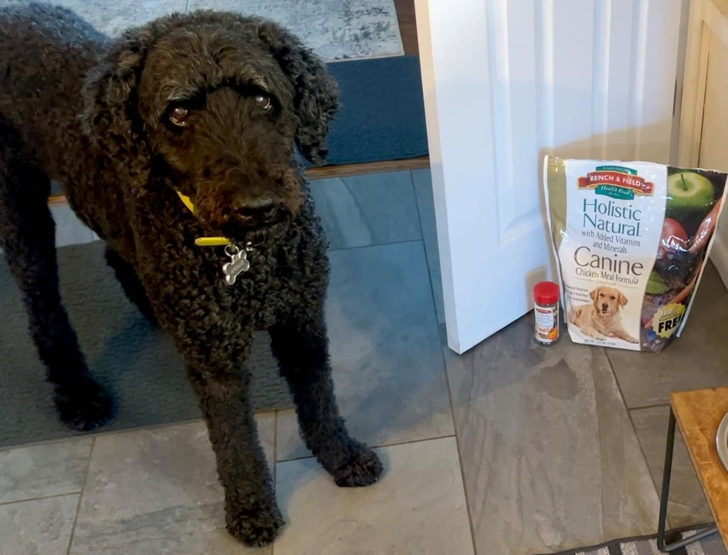 Bench & Field Holistic Natural Adult Dry Dog Food, Chicken Meal and Brown Rice Recipe 6.6 lb Bag (Pack of 1)