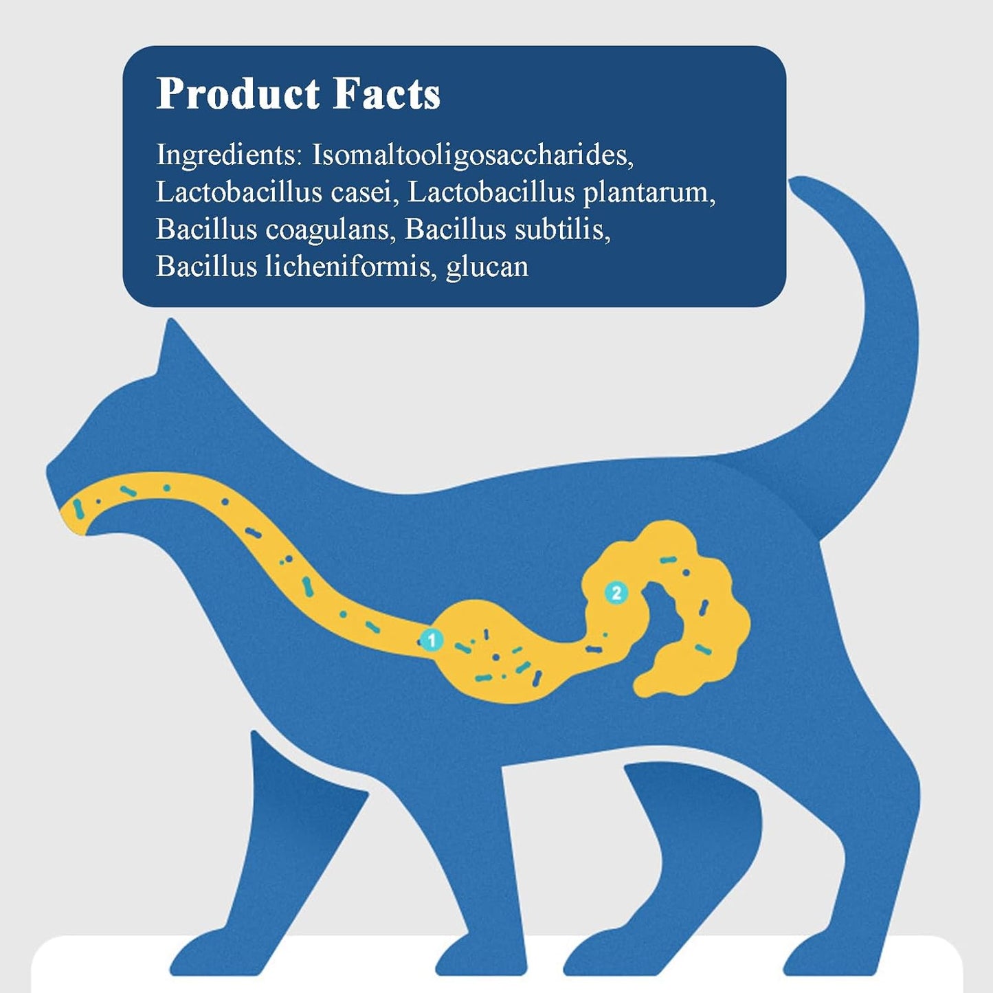 Probiotics for Dogs and Cats, 200 Tablets Pet Multi-Probiotic Supplements, Promotes Digestion and Nutrient Absorption (200 Count)