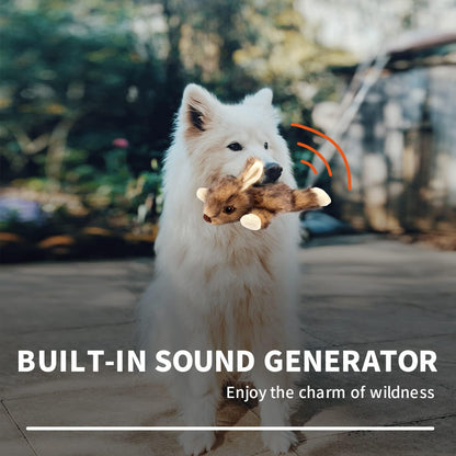 ALL FOR PAWS Classic Squirrel Pet Toys, Small and Orel Rabbit Squeaky Doy Toy Bundle