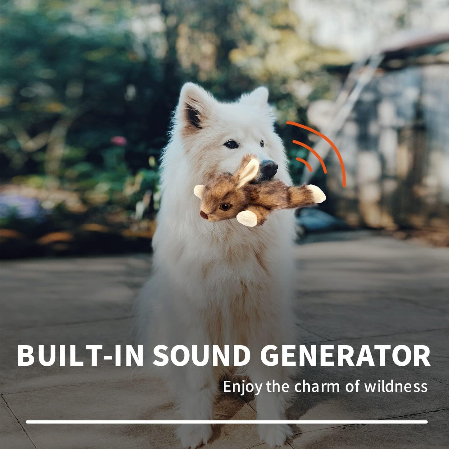 ALL FOR PAWS Classic Squirrel Pet Toys, Small and Orel Rabbit Squeaky Doy Toy Bundle