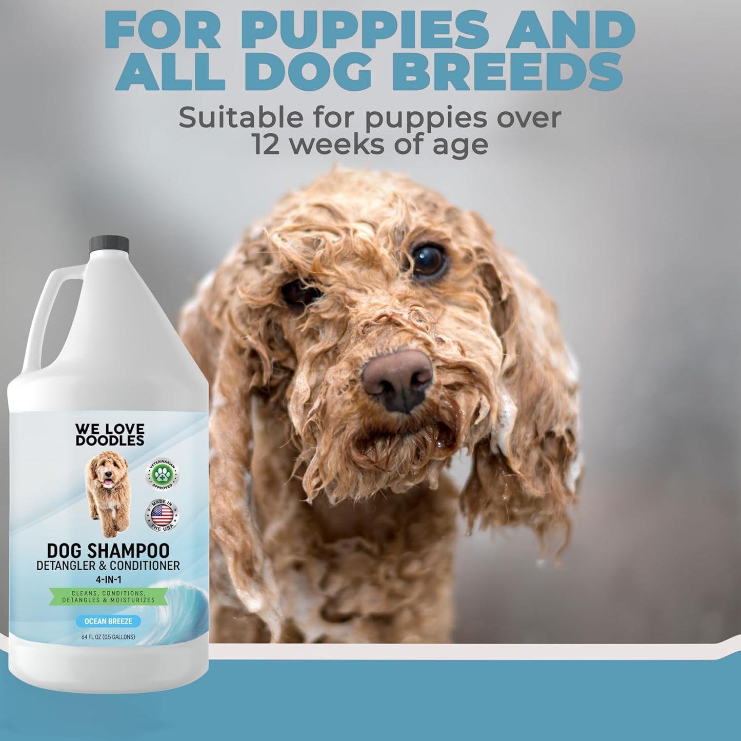 Dog Shampoo Half Gallon - Cleans, Conditions & Detangles, Goldendoodles, Poodles, & Doodle Shampoo - for Matted Pet Hair - Sensitive Skin Wash for Puppies - Made in The USA, 64OZ (Ocean Breeze)