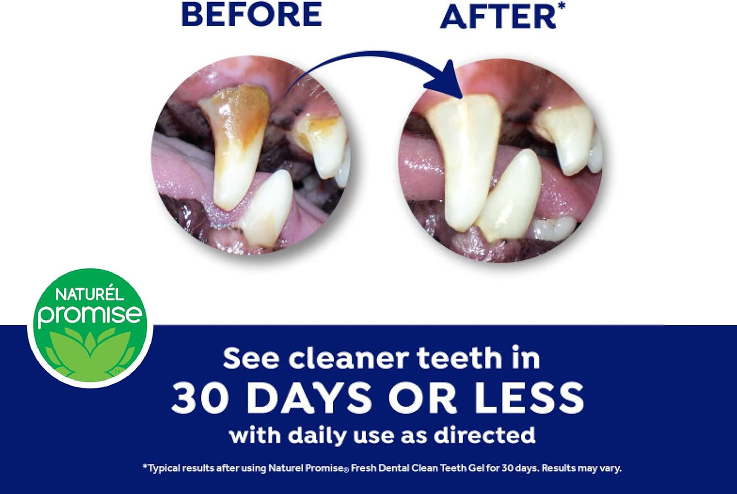 Fresh Dental Dog Toothpaste for Teeth Cleaning, Dog Breath Freshener, Easy Plaque & Tartar Remover Gel, No Toothbrush Needed, Effortless Dental Care, Tasty Peanut Butter Flavored Toothpaste, 4oz.