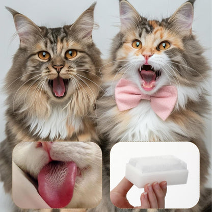 Soft Fur Cat Brush 1000+ Barbed Serrations Gentle Cat Tongue Brush Perfect for Sensitive Cats for Daily Grooming and Enhancing Intimacy 2 Pcs