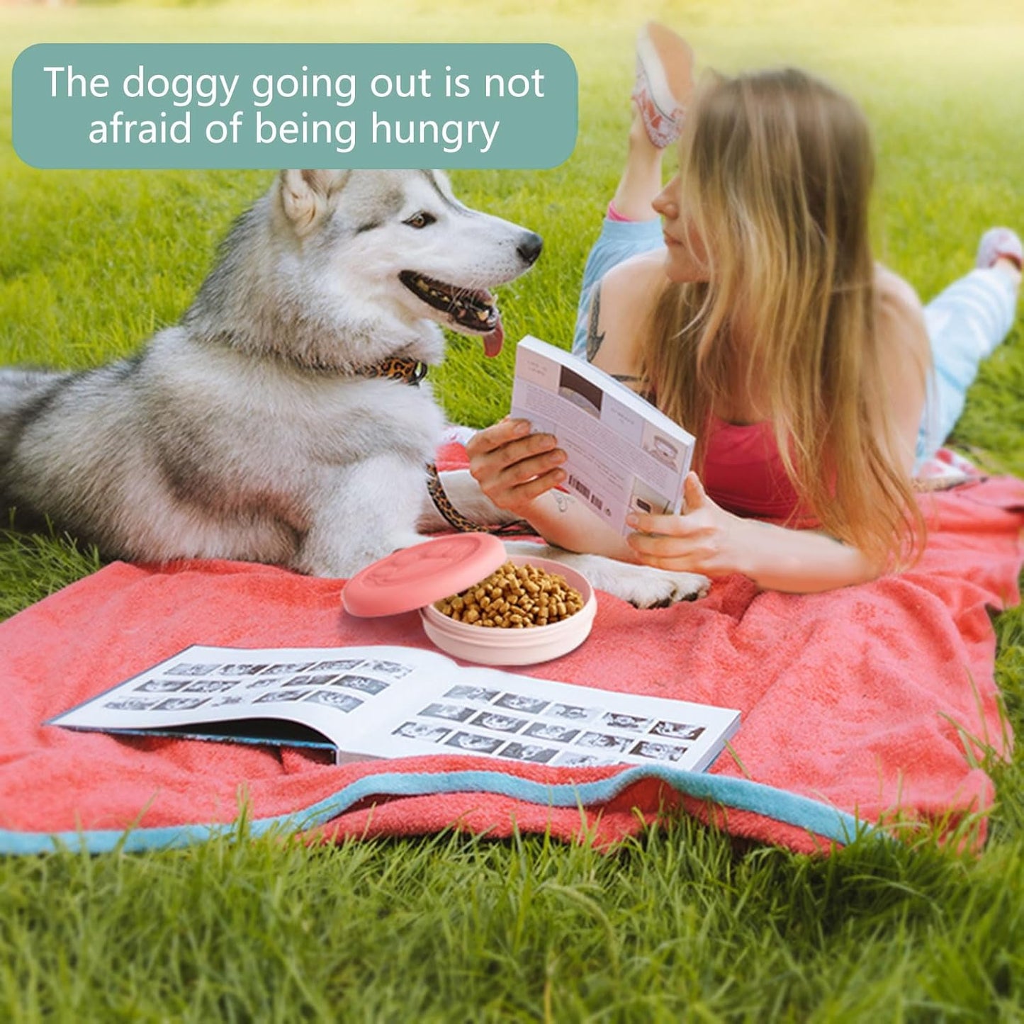 Travel Dogs Bowls for Small Size Pet Portable Dog Food Bowl Water Cup Cats Bowl Dish with Lid Cover for Camping Parking Dog Bowls with Lid